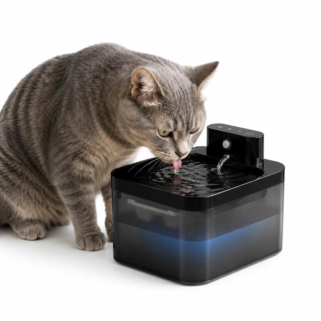 Fontaine à eau automatique noir avec 3 filtres inclus