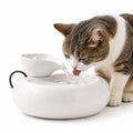 Fontaine à eau en céramique pour chat
