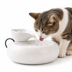 Fontaine à eau en céramique pour chat