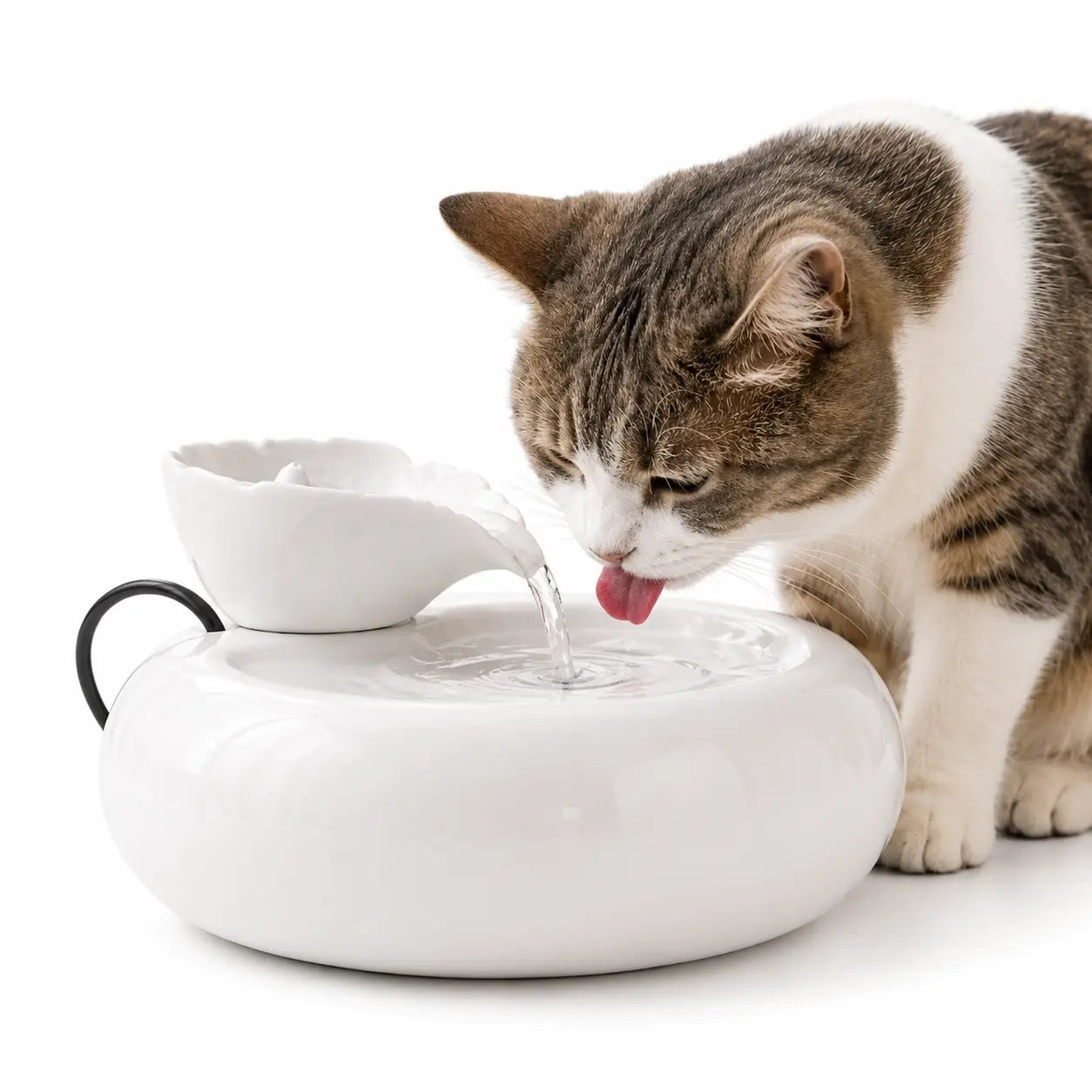 Fontaine à eau en céramique pour chat