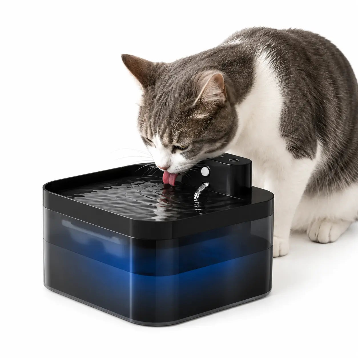 Fontaine à eau automatique pour chat avec distributeur intégré
