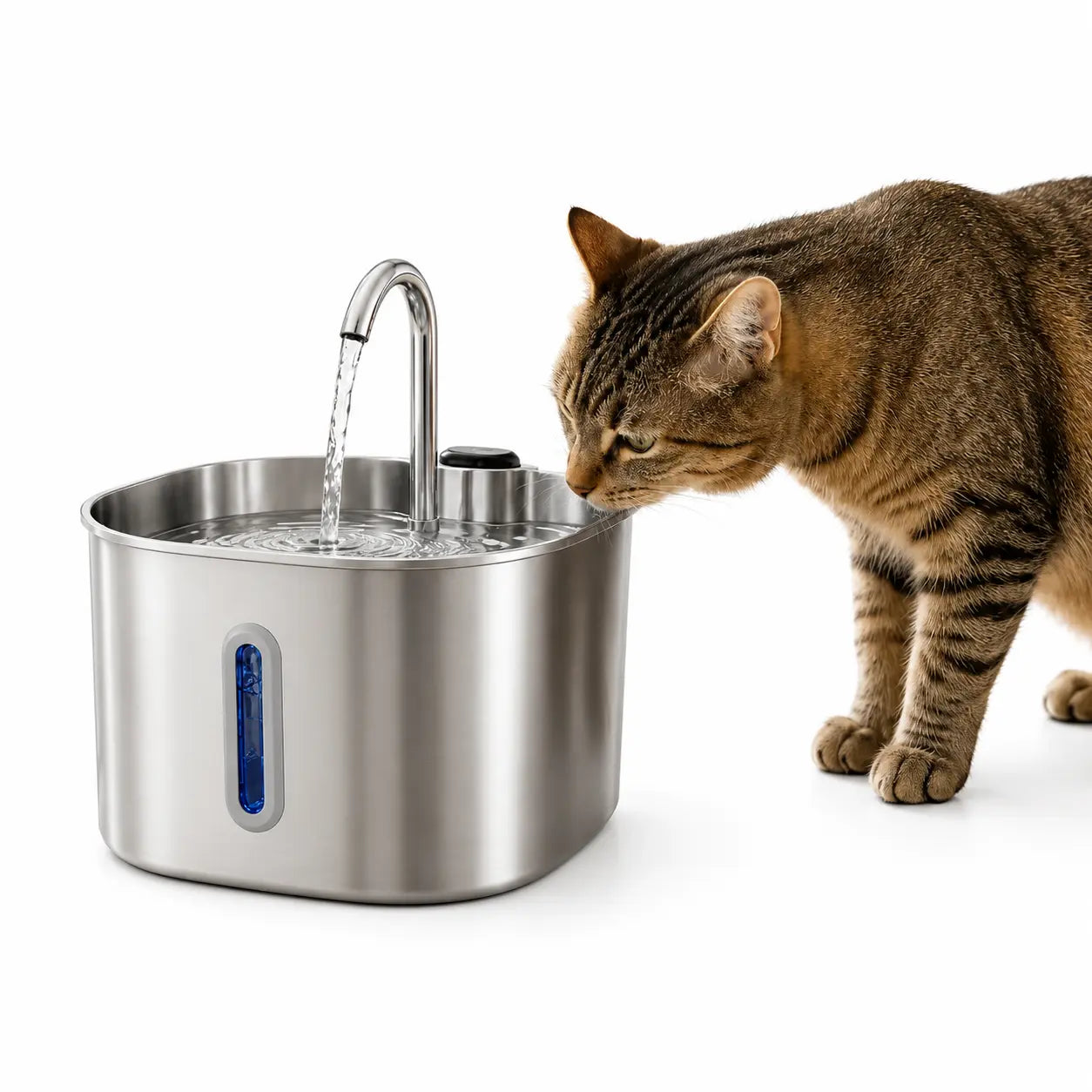 Fontaine Inox 2.2L Chat