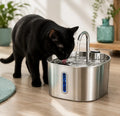Fontaine à eau chat — Inox premium silencieuse 2.2L