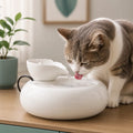 Fontaine à eau en céramique pour chat